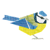 Blue Tit