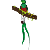 Quezal