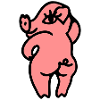 Salope sexy