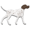 Pointers run