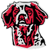 Brittany Spaniel