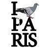 I pigeon Paris