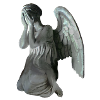 Weeping angel