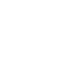205 Driver