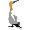 Basstölpel