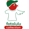 fotolulu collection