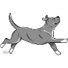 staffi2