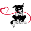 Bordercollie Love
