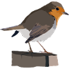 Rotkehlchen