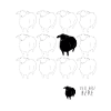 black-sheep-4000-4000-png