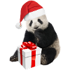 CHRISTMAS-PANDA 2