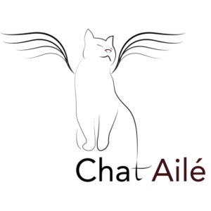 logo-taille-Editions Chat Ailé