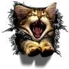 3D Katze