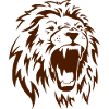 Angry Lion2