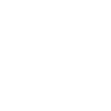 Spider Web