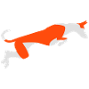 Podenco
