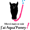 Aqua poney 3