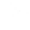 Snow White Dragon