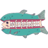 Cutted Fish