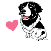 lansu6