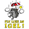 fly_like_an_igel_a