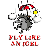 fly_like_an_igel_c