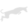 Ibizan dog