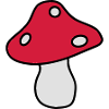 fly agaric