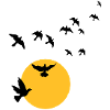 Birds in the sunset