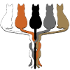 5 Katzenschwänze