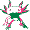 axolotl
