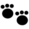 tatze2