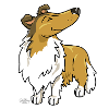 RoughCollieB