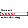 Please wait brain.exe is loading