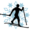 Cross-country snow flake