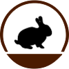Rabbit logo