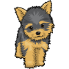 Charming Yorkie Puppy Illustration