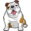 English Bulldog Dog