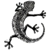 Doodle-Gecko