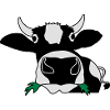 Happy cow eating healthy gras
