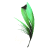 Feather - Hope