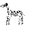 Dalmatiner