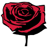 Red Rose