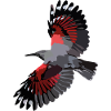 Mauerläufer