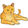 Cat Ginger