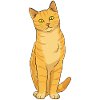 Cat Ginger