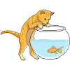 Cat Ginger Fish Bowl