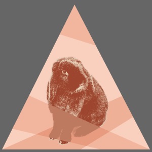 Kaninchen Hasen Häschen Bunny Langohr Dreieck Hip