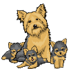 Terrier Family Trio with Pups