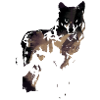 Loup Pochoir